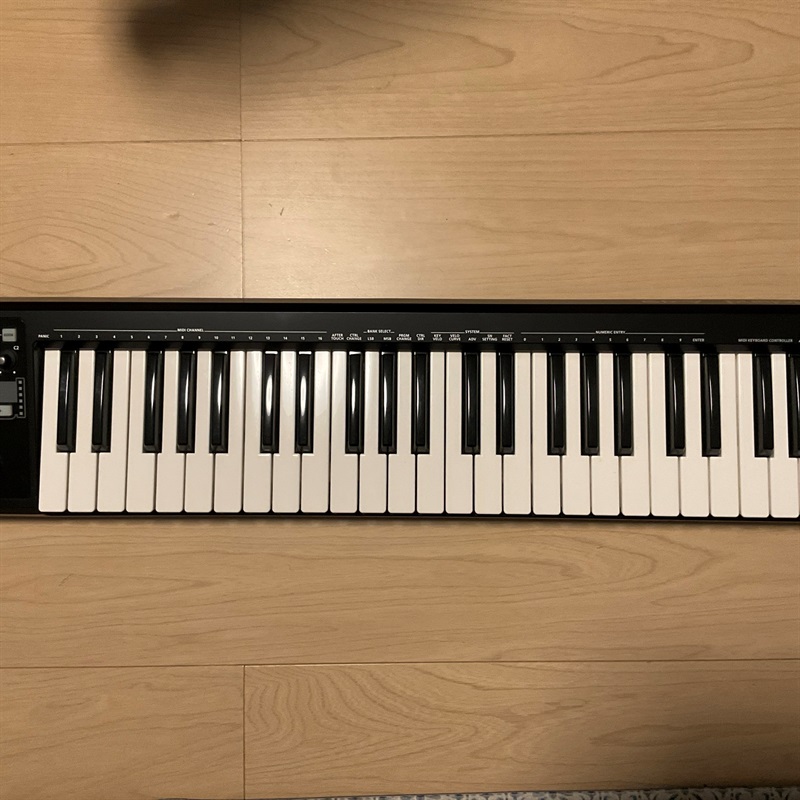 Roland A-49-BKの画像